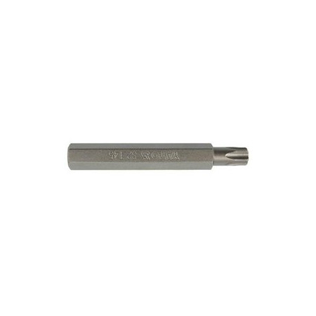 Antgalis TORX (10mm)